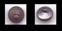 OFFICIER INFANTERIE  DIAMETRE22 MM -  E DUPUIS & Cie -  PARIS DIFFERENTS ANCRE  - CANONS CROIS2S GRENADE BOULETS - Buttons