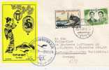 J549/ JAPAN - Lufthansa First .Flight Tokio-Hamburg 1961, Erstflug - Lettres & Documents