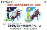 Ant - Fourmi - Mier - Ameise - Insect (10) - Otros & Sin Clasificación