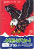 EAGLE - AIGLE - Adler - Arend - Águila - Bird - Oiseau (10 - Arenden & Roofvogels