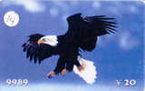 EAGLE - AIGLE - Adler - Arend - Águila - Bird - Oiseau (14 - Arenden & Roofvogels