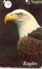 EAGLE - AIGLE - Adler - Arend - Águila - Bird - Oiseau (15 - Águilas & Aves De Presa