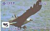 EAGLE - AIGLE - Adler - Arend - Águila - Bird - Oiseau (95 - Aigles & Rapaces Diurnes