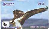 EAGLE - AIGLE - Adler - Arend - Águila - Bird - Oiseau (96 - Adler & Greifvögel