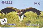 EAGLE - AIGLE - Adler - Arend - Águila - Bird - Oiseau (97 - Aigles & Rapaces Diurnes