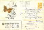 Ex-USSR,  Used Postal Stationery, Butterfly, Insect - Other & Unclassified