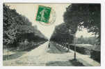 CHATOU - Avenue Des Tilleuls - Chatou