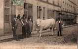 75 PARIS Abattoirs De La Villette Vercingétorix Le Boeuf Gras 1904   TOP - Distrito: 19