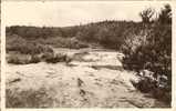 RETIE  :  A. C. W.  VACANTIEHUIS  "  DE  LINDE "    -  SPARREN  EN  DUINEN - Retie