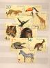 POLAND 1972 ZOO ANIMALS Set MNH - Unused Stamps