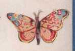 0048  DECOUPIS  Papillon  (gaufré) - Other & Unclassified