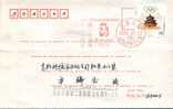 Beijing 2008 Olympic Games´ Postmark,The Forth Anniversary Of Beijing’s Successful Bidding For The 2008 Olympic Games - Sommer 2008: Peking