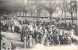 31 - St GAUDENS - Le Marché Sur Le Boulevard Du Sud - Saint Gaudens