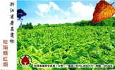 Chine : EP Pub. Voyagé Plantation Tabac Tobacco Monopoly Bureau Cigarette Plante - Tabak