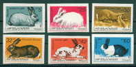 3488A Bulgaria 1986 Hares And Rabbits Imperf. ** MNH / Hasen Und Kaninchen Riese  Scheckenkaninchen Hollanderkaninchen - Rabbits