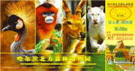 Chine : EP Tichet Entrée Zoo Forestier De Harbin Tigre Blanc Singe Monkey Crane Deer Cerf Foret Arbre Forest Tree Wild - Monkeys