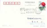 Beijing 2008 Olympic Games´ Postmark,mascots Of The Games Of The XXIX Olympiad,basketball - Estate 2008: Pechino