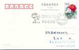 Beijing 2008 Olympic Games´ Postmark,mascots Of The Games Of The XXIX Olympiad,Arrows - Estate 2008: Pechino