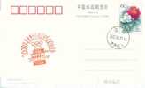 Beijing 2008 Olympic Games´ Postmark, 500 Days Countdown To The Games Of The XXIX Olympiad - Zomer 2008: Peking