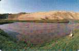 MONGOLIA 150 U  WOMAN  LAKE  LANDSCAPE  CHIP   READ DESCRIPTION !! - Mongolië