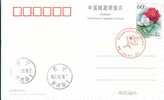 Beijing 2008 Olympic Games´ Postmark, Olympic Sports - Zomer 2008: Peking