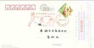 Beijing 2008 Olympic Games´ Postmark, The Mascots Of The Games Of The XXIX Olympiad--fencing - Estate 2008: Pechino