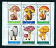 3573I Bulgaria 1987 Mushrooms KLB I ** MNH /Perlpilz Konigsrohrling Rotkappe Schopftintling Pfifferling Spei/Speisepilze - Blokken & Velletjes