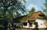 Domein Bokrijk Openluchtmuseum Kempische Hoeve Uit Lummen 1777 - Tongeren