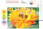 China,used Postal Stationery,bee,sun Flower - Abejas