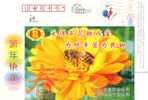 China,used Postal Stationery,bee,sun Flower - Honingbijen