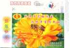 China,used Postal Stationery,bee,sun Flower - Bienen