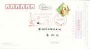 Beijing 2008 Olympic Games´ Postmark,mascots Of The Games Of The XXIX Olympiad,sailing - Summer 2008: Beijing