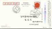 Beijing 2008 Olympic Games´ Postmark, The Mascots Of The Games Of The XXIX Olympiad- - Sommer 2008: Peking