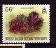 British Indian Ocean Territory ** (B 25) - Coquillages