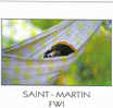 Carte Postale  DOM-TOM   Saint-Martin  FWI - Saint Martin