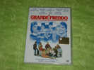 DVD-IL GRANDE FREDDO Nuovo - Drame