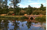 CARTE POSTALE DES ENVIRONS DE CARHAIX - PAYSAGE BRETON - Carhaix-Plouguer