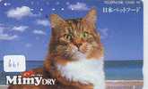 CHAT Cat KATZE Poes KAT Gato GATTO ? (661) - Chats