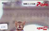 CHAT Cat KATZE Poes KAT Gato GATTO ? (671) - Chats