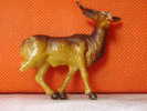 Animal De Collection _ Jungle : Antilope - Other & Unclassified