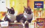 CHAT Cat KATZE Poes KAT Gato GATTO ? (737) - Cats