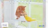 CHAT Cat KATZE Poes KAT Gato GATTO ? (738) - Chats