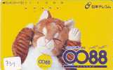 CHAT Cat KATZE Poes KAT Gato GATTO ? (739) - Cats