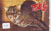 CHAT Cat KATZE Poes KAT Gato GATTO ? (750) - Cats