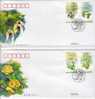 2006 CHINA Plants Of Relic Species FDC - 2000-2009