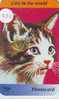 CHAT Cat KATZE Poes KAT Gato GATTO ? (832) - Cats