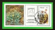 TRANSKEI 1986 CTO Block 3 Aloes  #5348b - Transkei