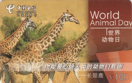 Télécarte CHINE / SERIE WORLD ANIMAL DAY - GIRAFE - GIRAFFE CHINA TELECOM Phonecard - Cina