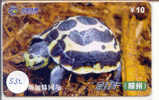 Telecarte Tortoise (532) Sea Turtle ? Schildpad ? Schildkroete ? Tartaruga ? Tortue ? Turtle China - Schildpadden