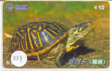 Telecarte Tortoise (537) Sea Turtle ? Schildpad ? Schildkroete ? Tartaruga ? Tortue ? Turtle China - Schildpadden